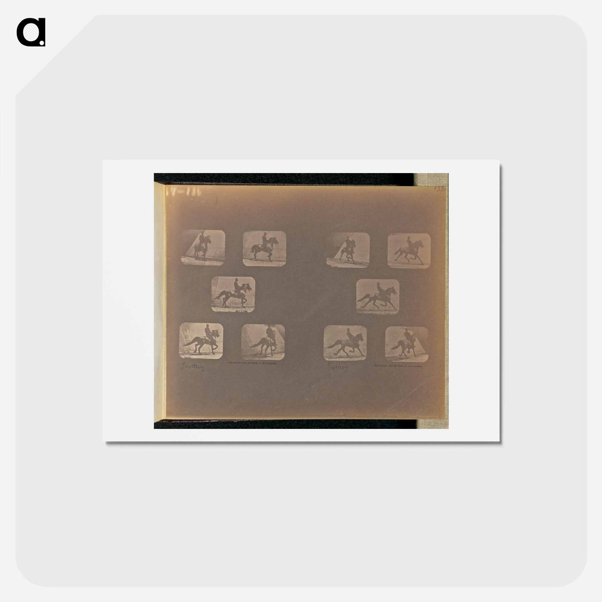 アートポストカード-Trotting
- エドワード マイブリッジ Postcard.