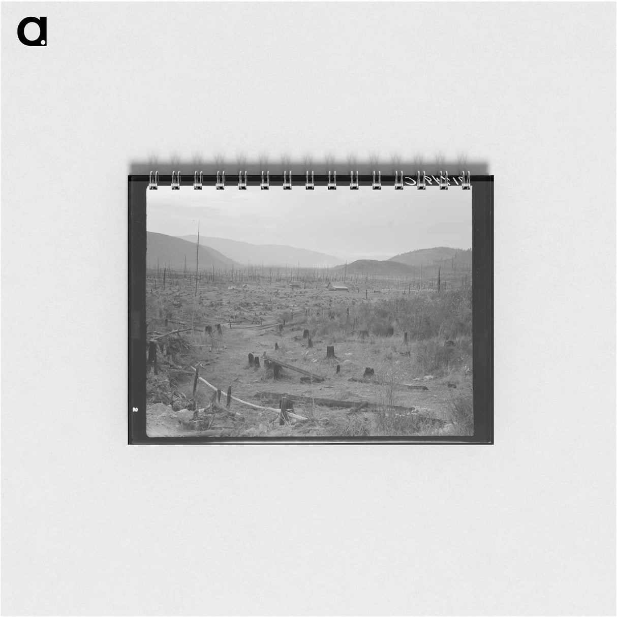 アートメモ帳-Another stump farm, fenced, showing general characteristics of the valley. Bonner County, Idaho. - ドロテア ラング Memo.