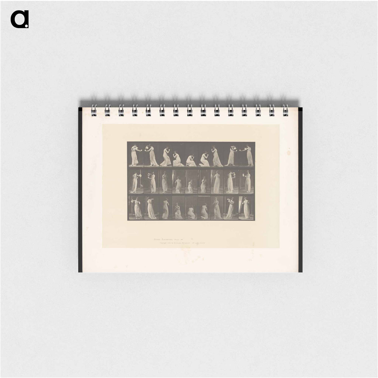 アートメモ帳-Woman Praying
- エドワード マイブリッジ Memo.
