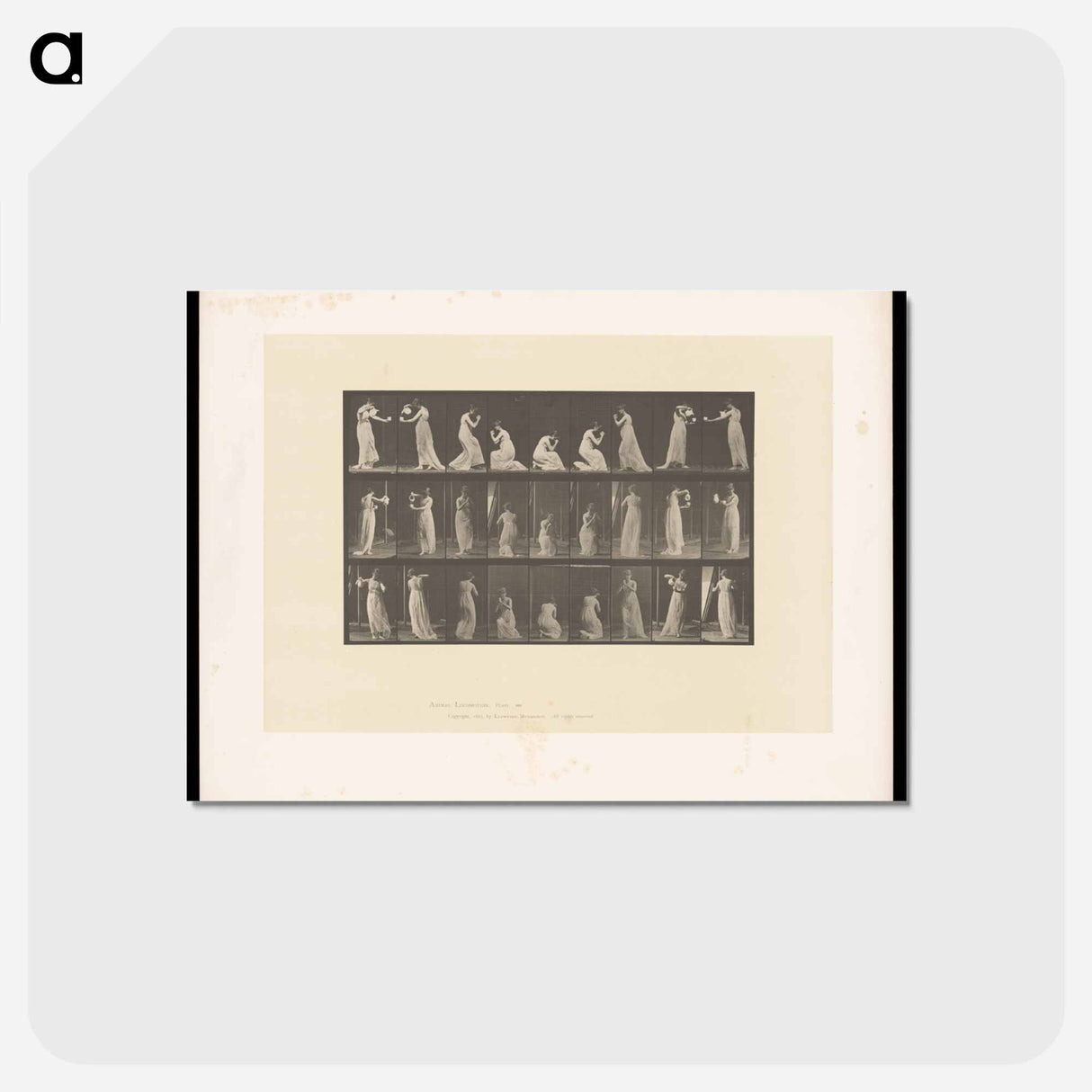 アートポストカード-Woman Praying
- エドワード マイブリッジ Postcard.