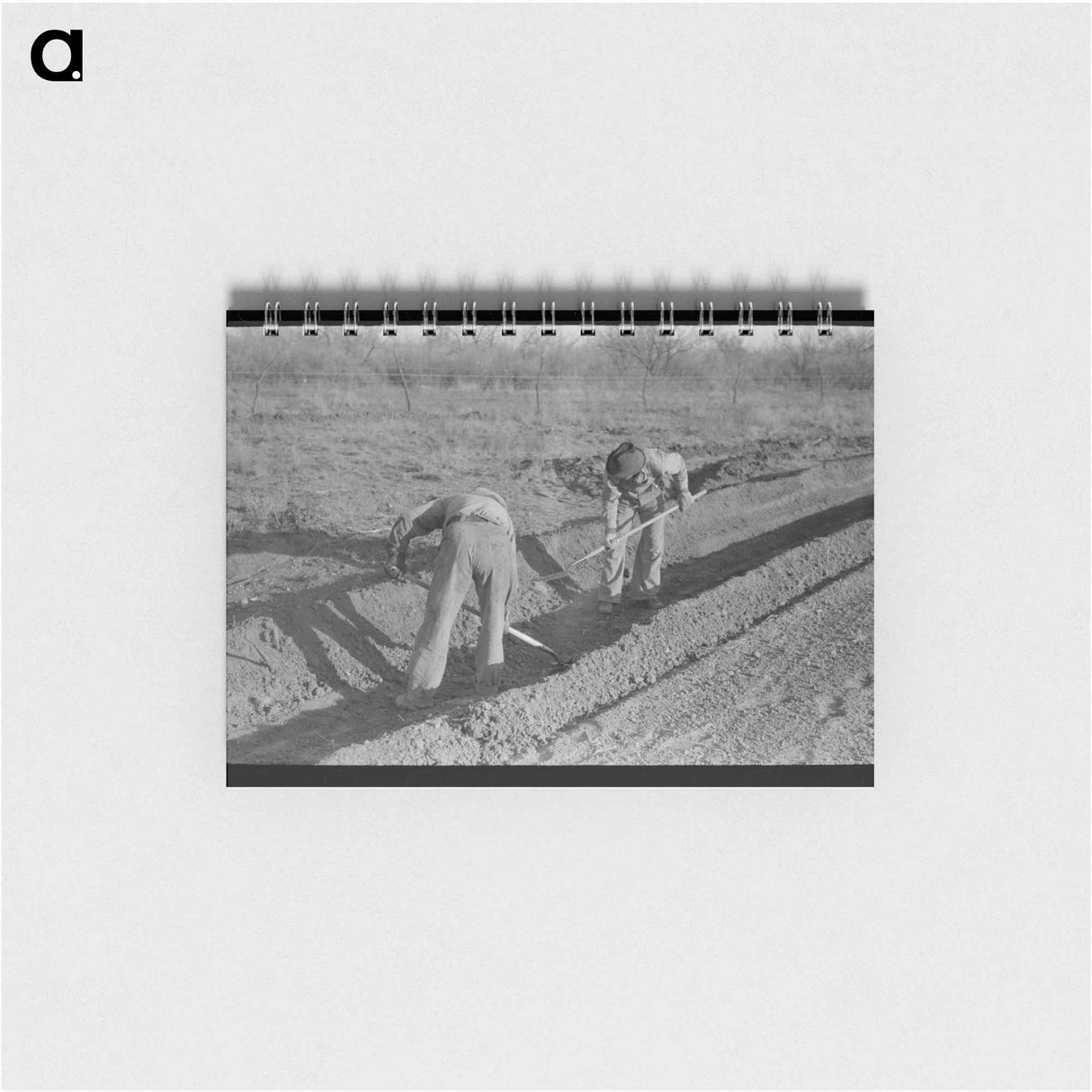 アートメモ帳-Bottling Milk at Creamery
- ラッセル リー Memo.