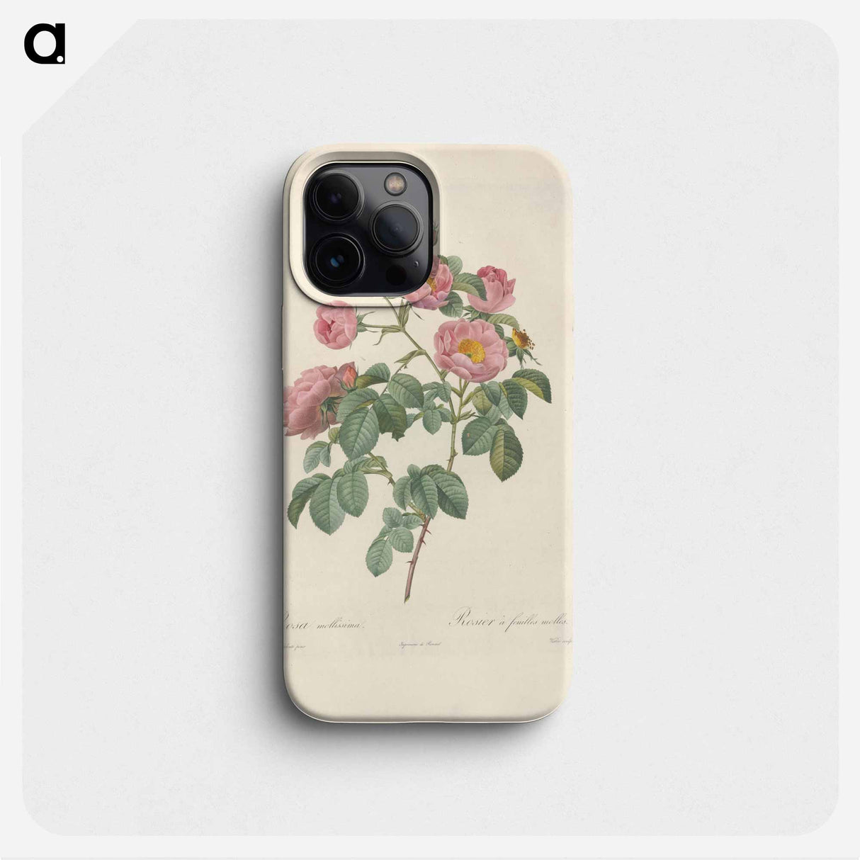 Rose illustration - ピエール ジョゼフ ルドゥーテ Phone Case.