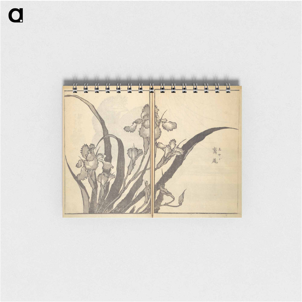 Old Manji’s Cursive Picture Album - 葛飾 北斎 Memo.