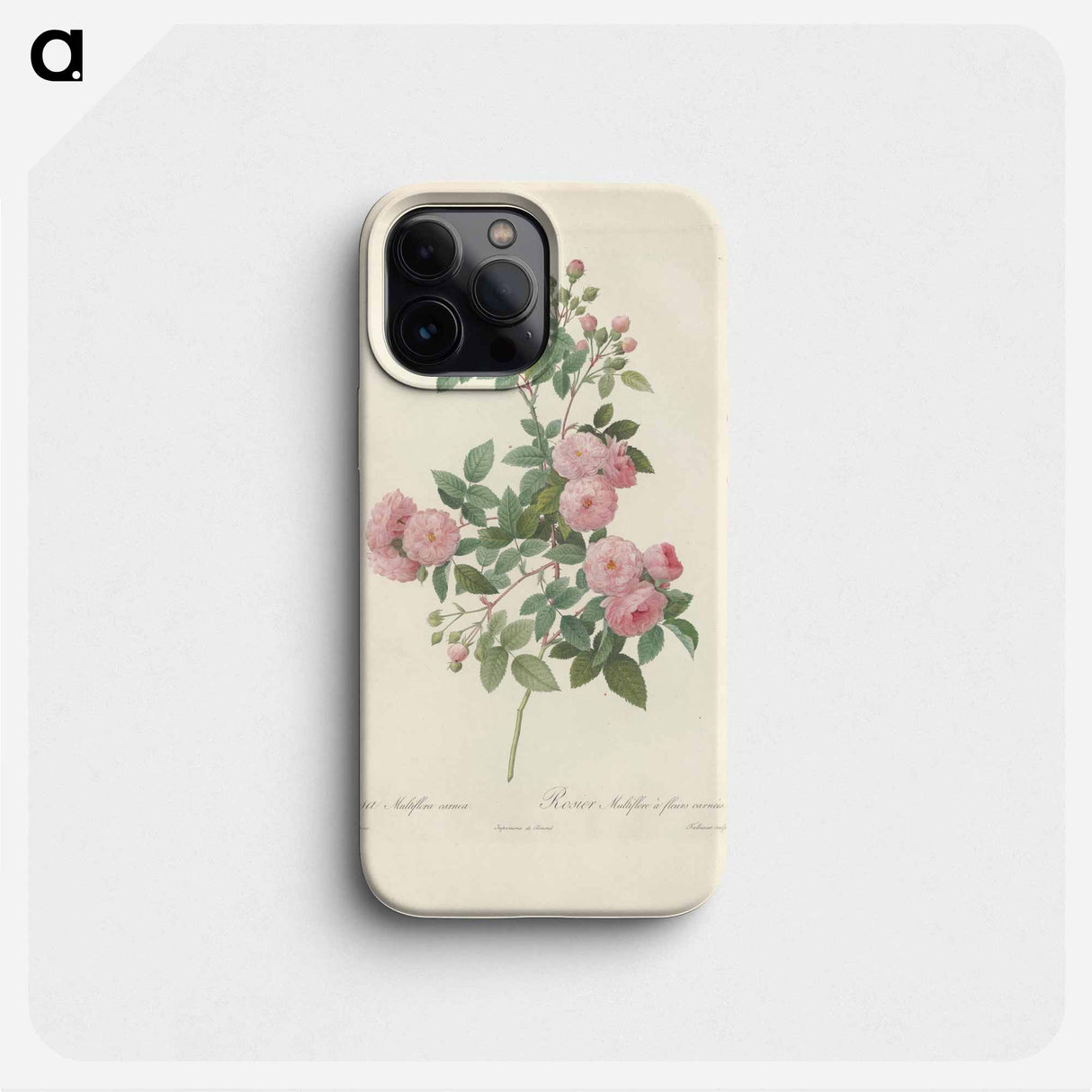 Rose illustration - ピエール ジョゼフ ルドゥーテ Phone Case.