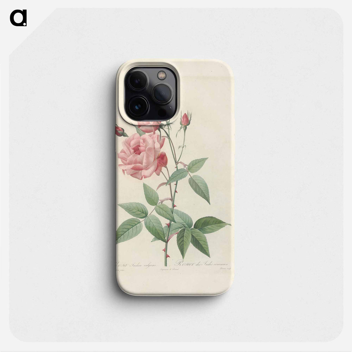 Rose illustration - ピエール ジョゼフ ルドゥーテ Phone Case.