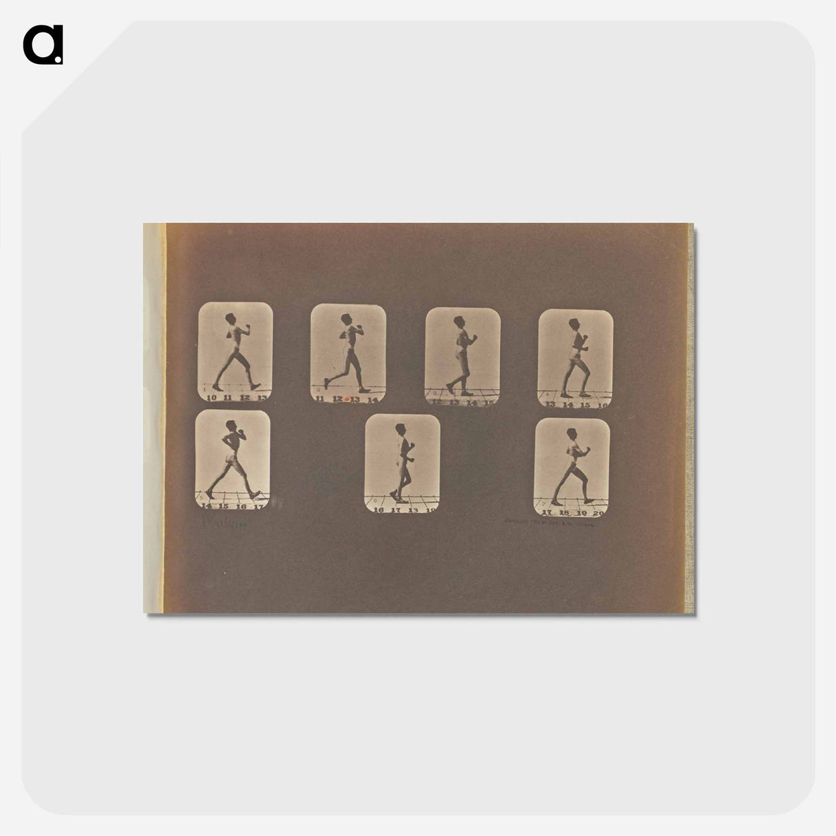 アートポストカード-Walking
- エドワード マイブリッジ Postcard.