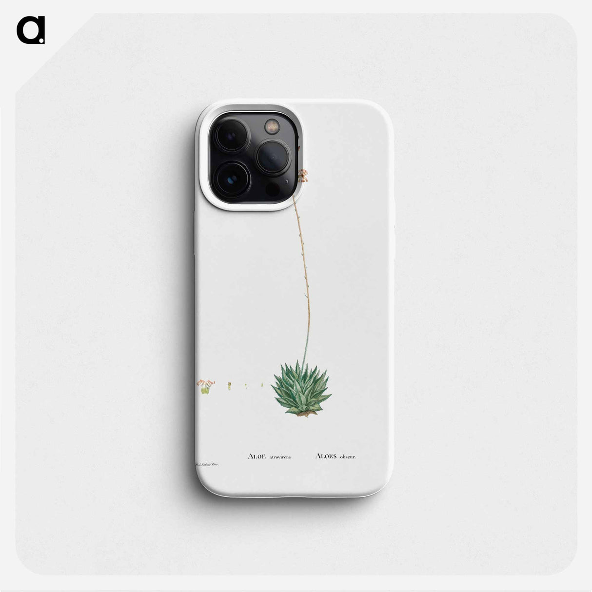 Aloe Atrovirens (Dwarf Aloe) - ピエール ジョゼフ ルドゥーテ Phone Case.