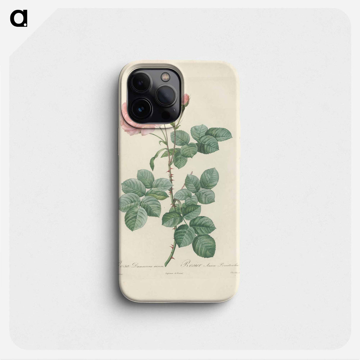 Rose illustration - Pierre Joseph Redouté Phone Case.