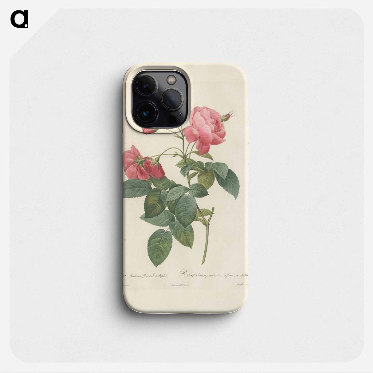 Rose illustration - ピエール ジョゼフ ルドゥーテ Phone Case.