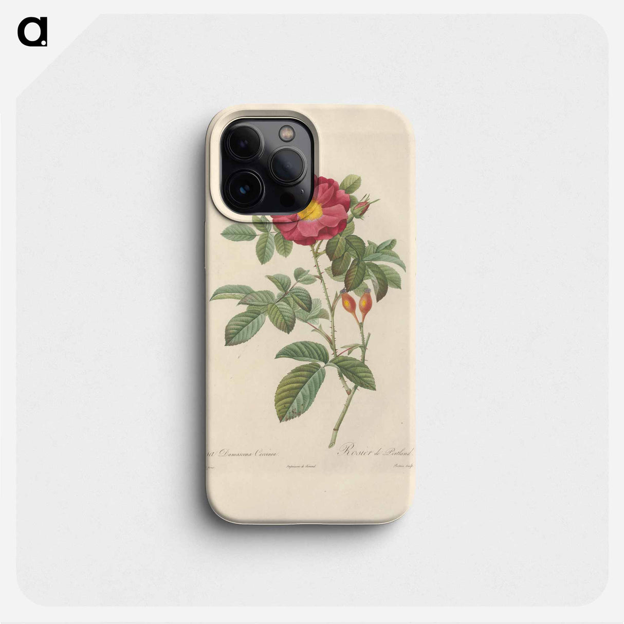 Rose illustration - ピエール ジョゼフ ルドゥーテ Phone Case.