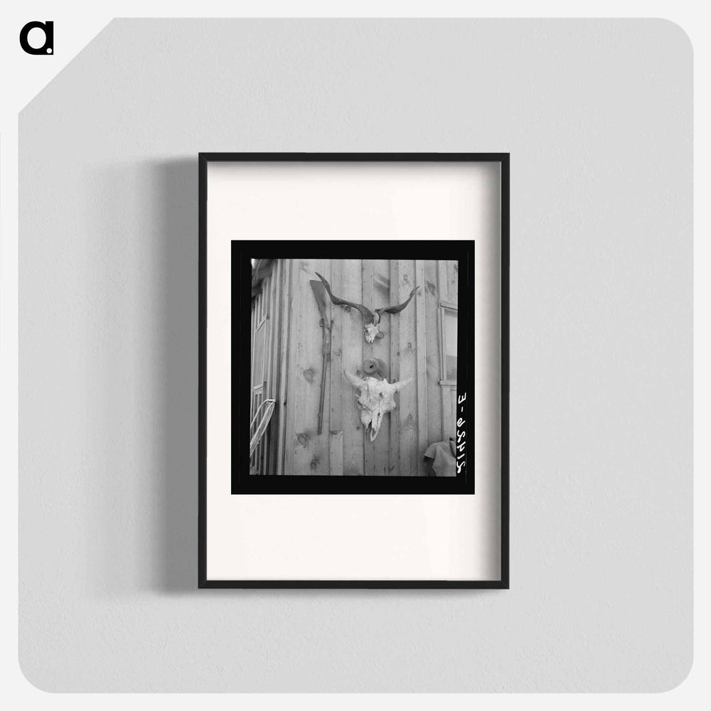 Side of Cates' new house - Dorothea Lange Poster.