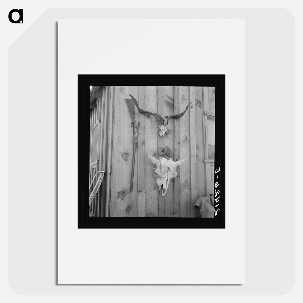 Side of Cates' new house - Dorothea Lange Poster.