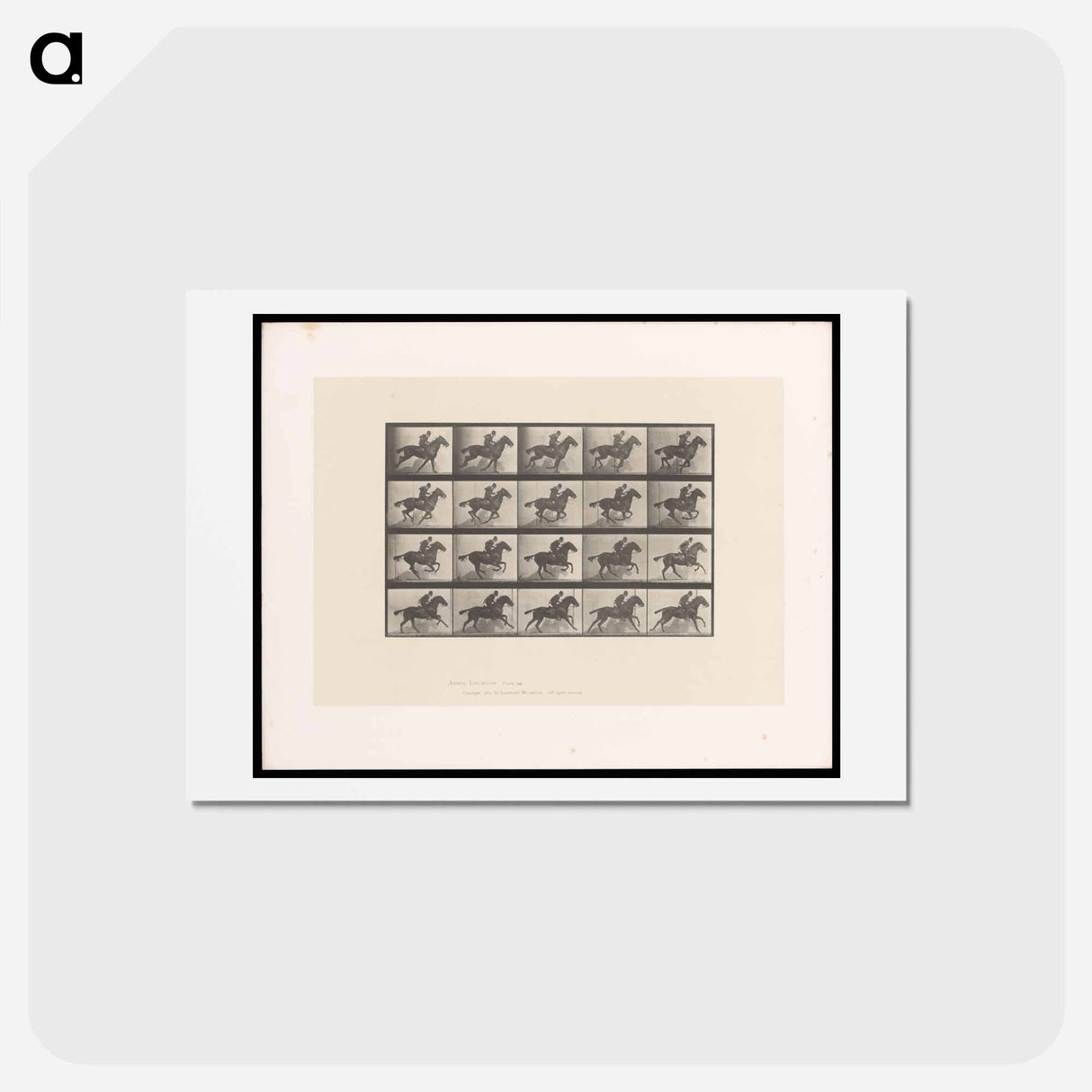 アートポストカード-Man on Horse
- エドワード マイブリッジ Postcard.