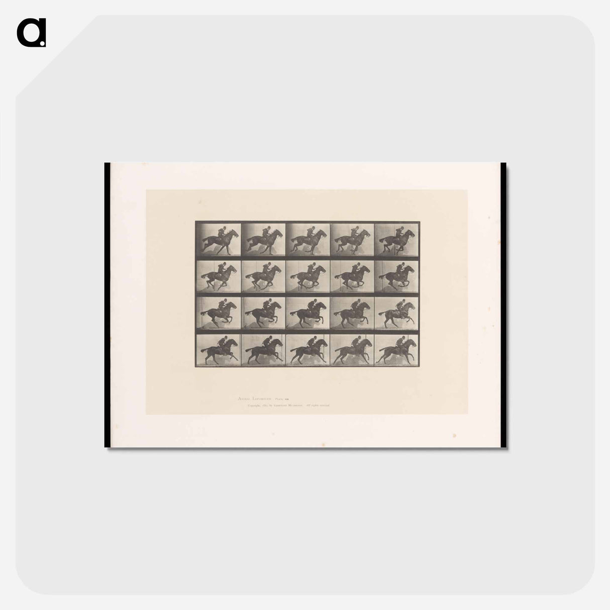 アートポストカード-Man on Horse
- エドワード マイブリッジ Postcard.