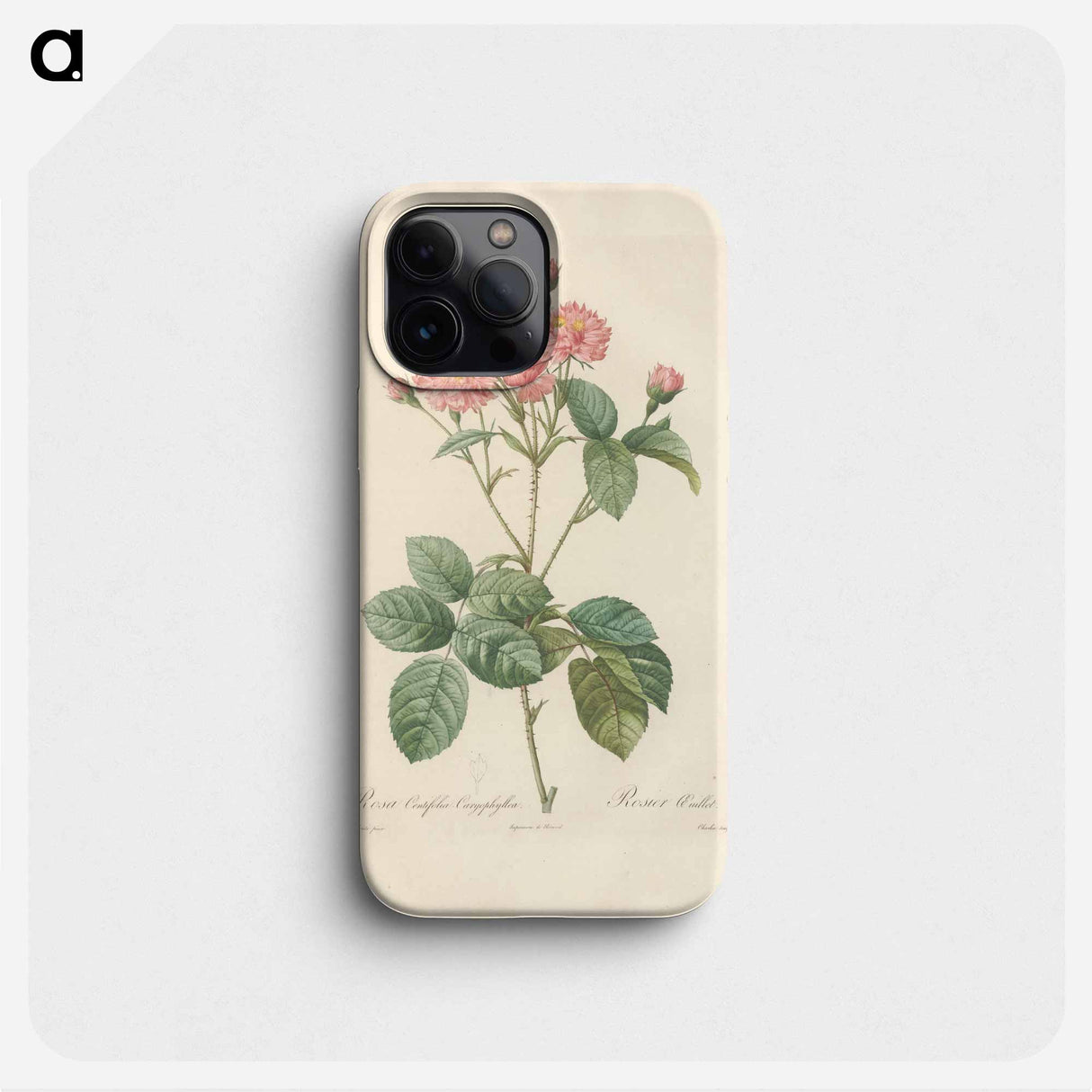 Rose illustration - ピエール ジョゼフ ルドゥーテ Phone Case.