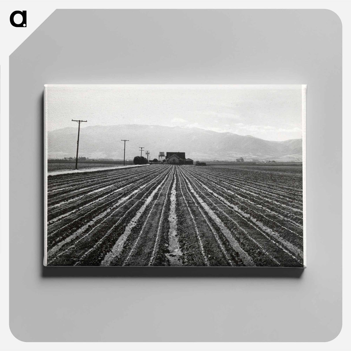 アートパネル-Young Lettuce, Salinas
- セントルイス美術館 Canvas.
