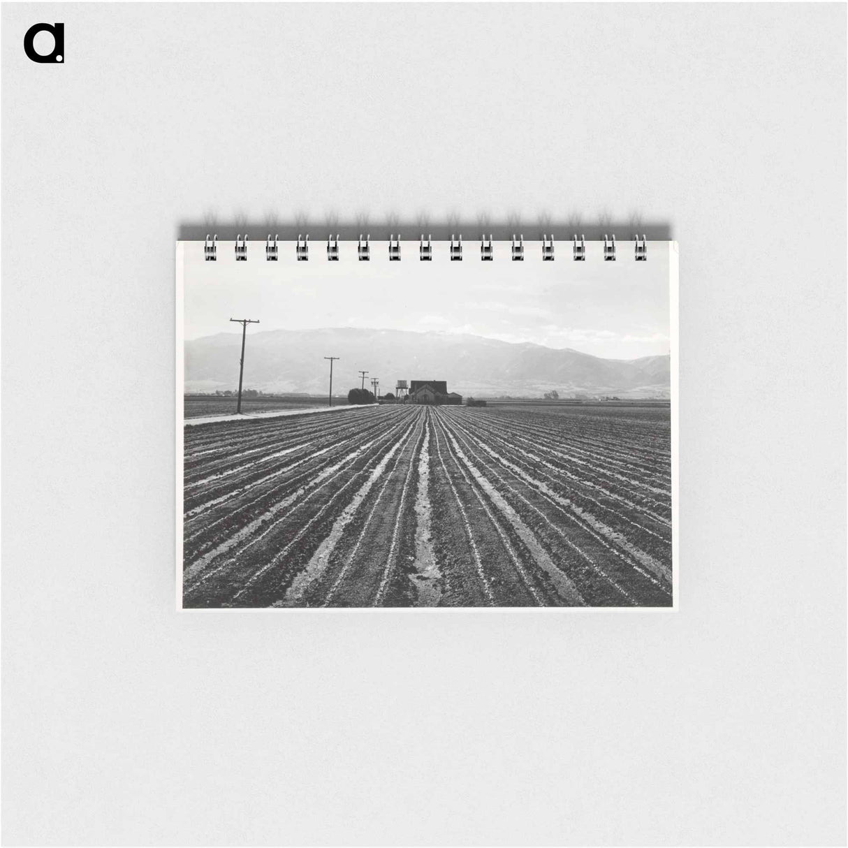 アートメモ帳-Young Lettuce, Salinas
- セントルイス美術館 Memo.