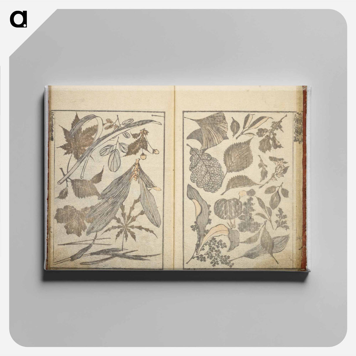 Random sketches by Hokusai volumes 1 to 11 - 葛飾 北斎 Canvas.