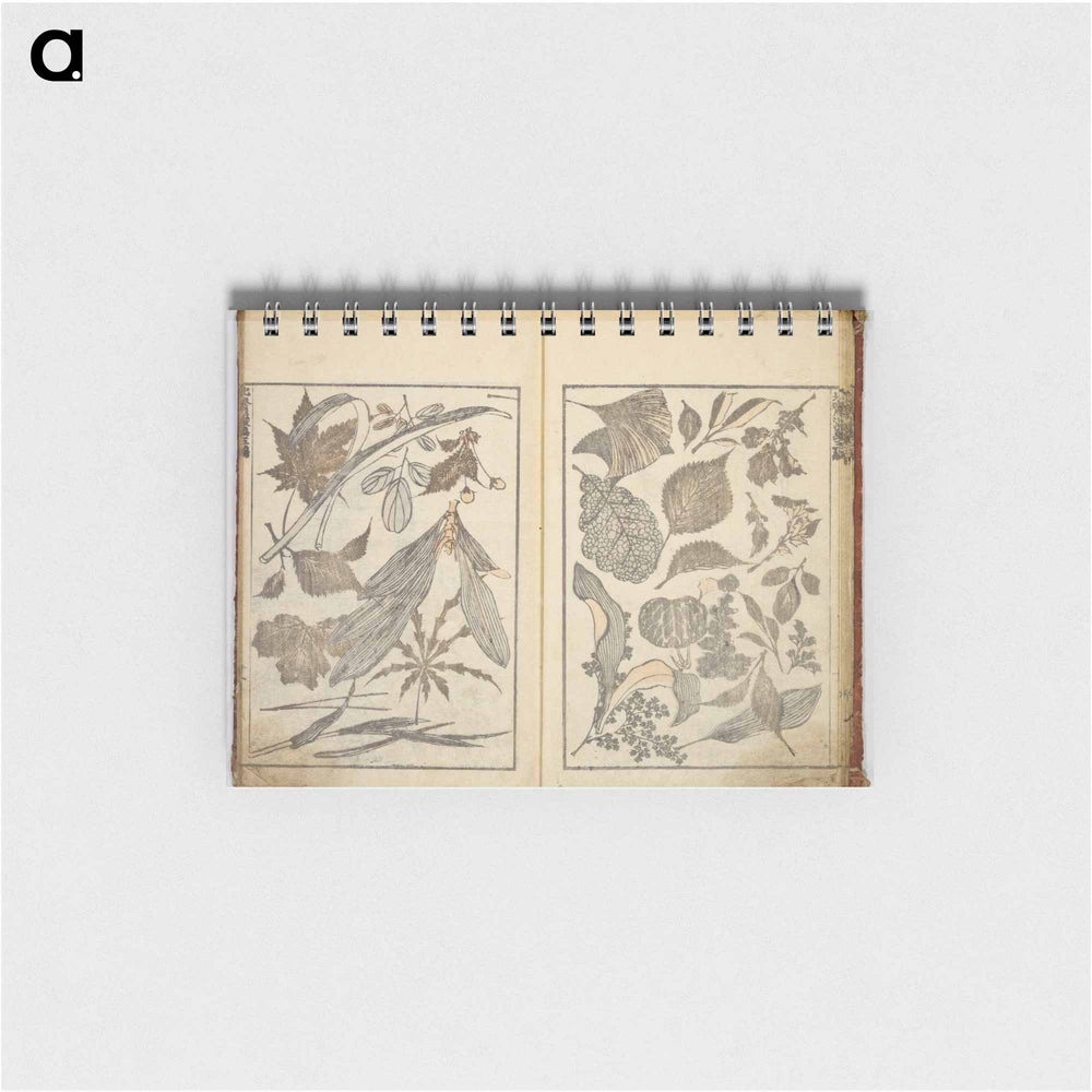 Random sketches by Hokusai volumes 1 to 11 - 葛飾 北斎 Memo.