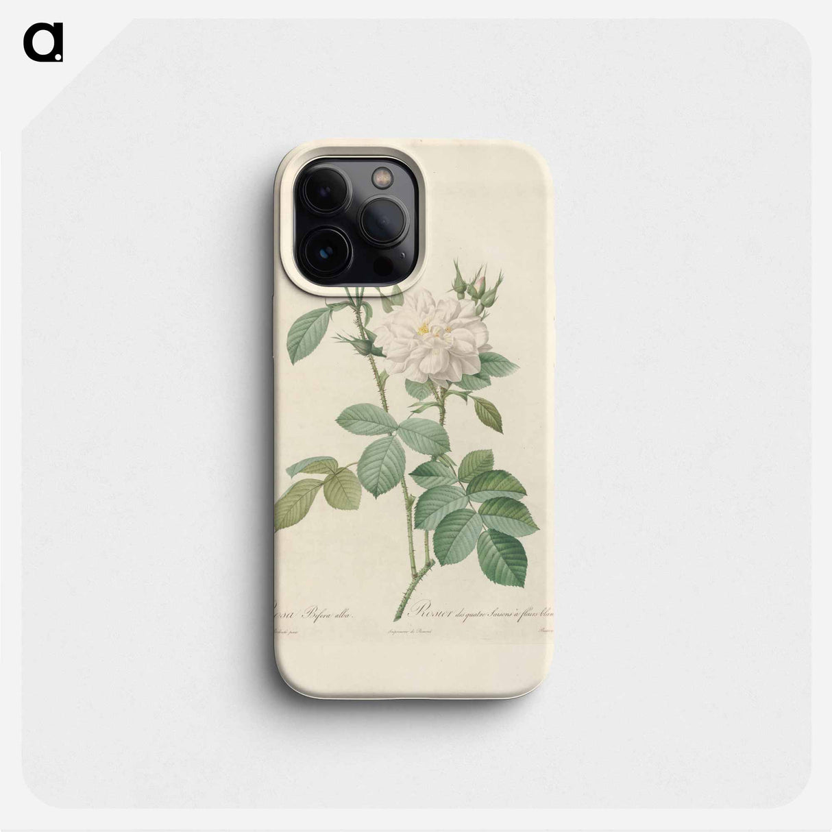 Rose illustration - ピエール ジョゼフ ルドゥーテ Phone Case.