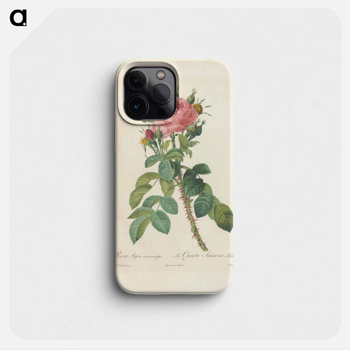 Rose illustration - ピエール ジョゼフ ルドゥーテ Phone Case.