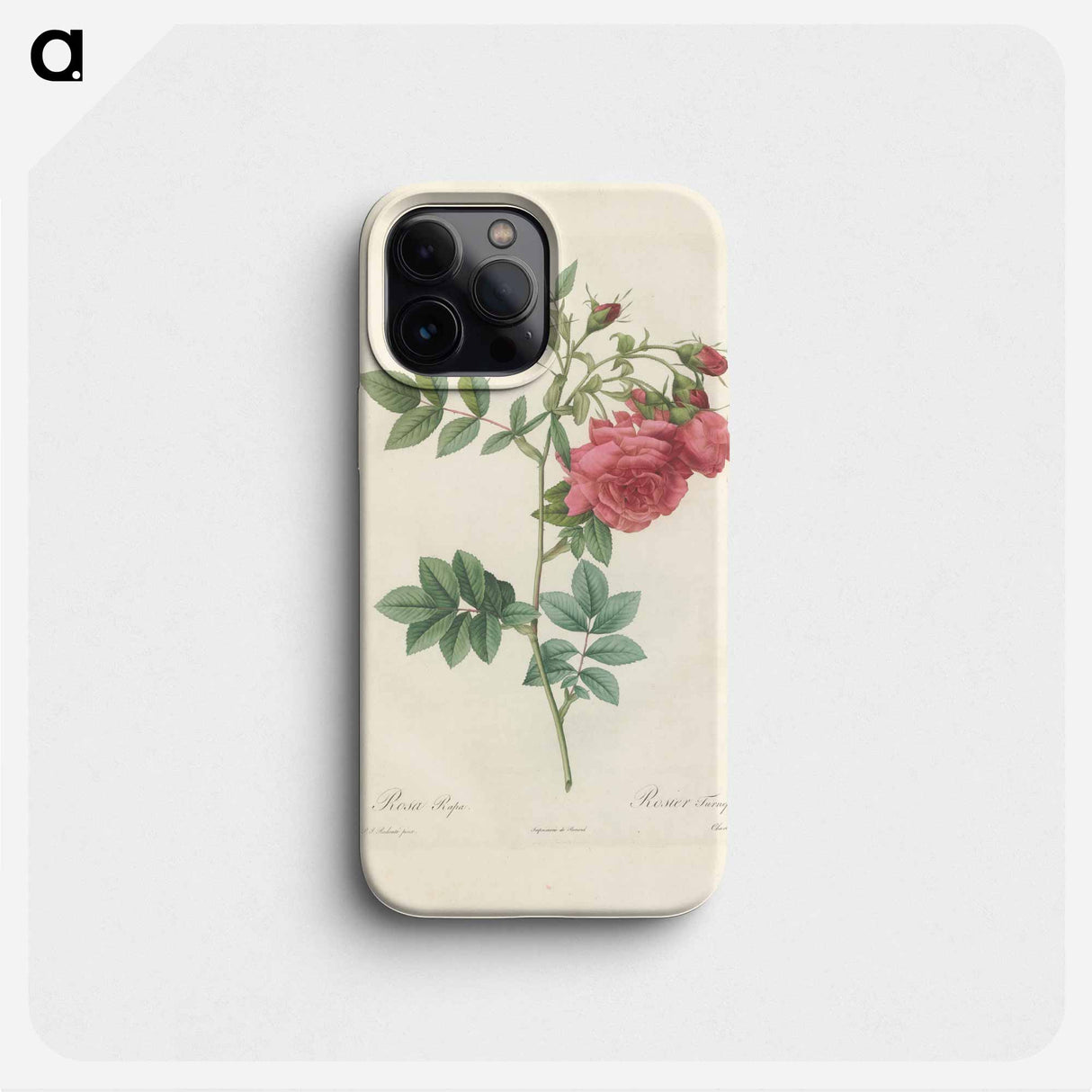 Rose illustration - ピエール ジョゼフ ルドゥーテ Phone Case.