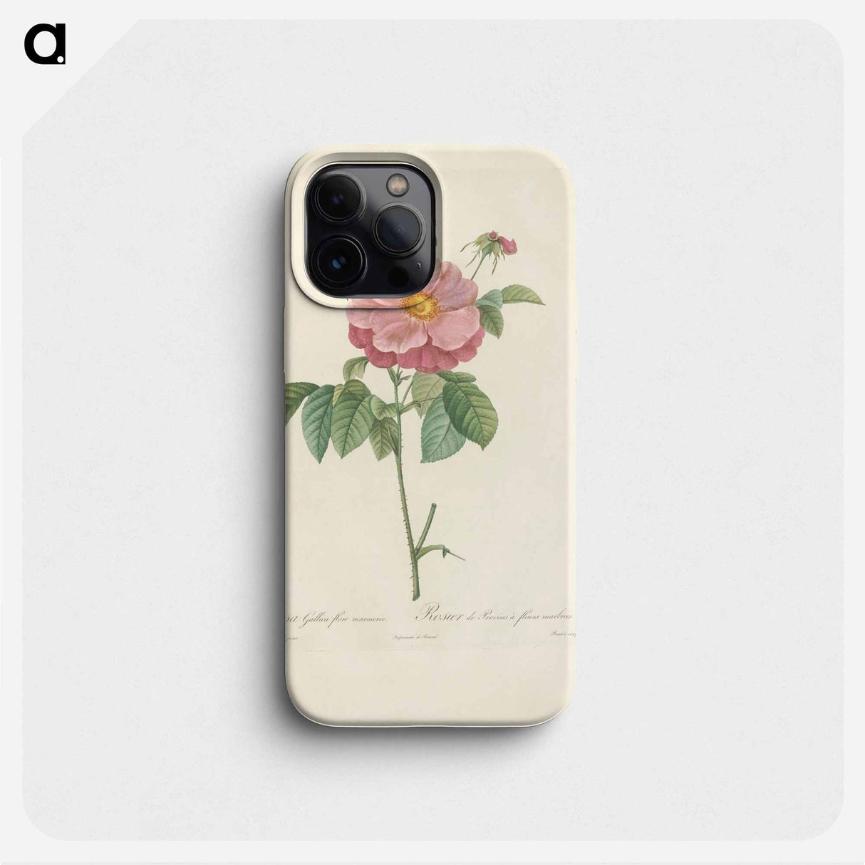 Rose illustration - ピエール ジョゼフ ルドゥーテ Phone Case.
