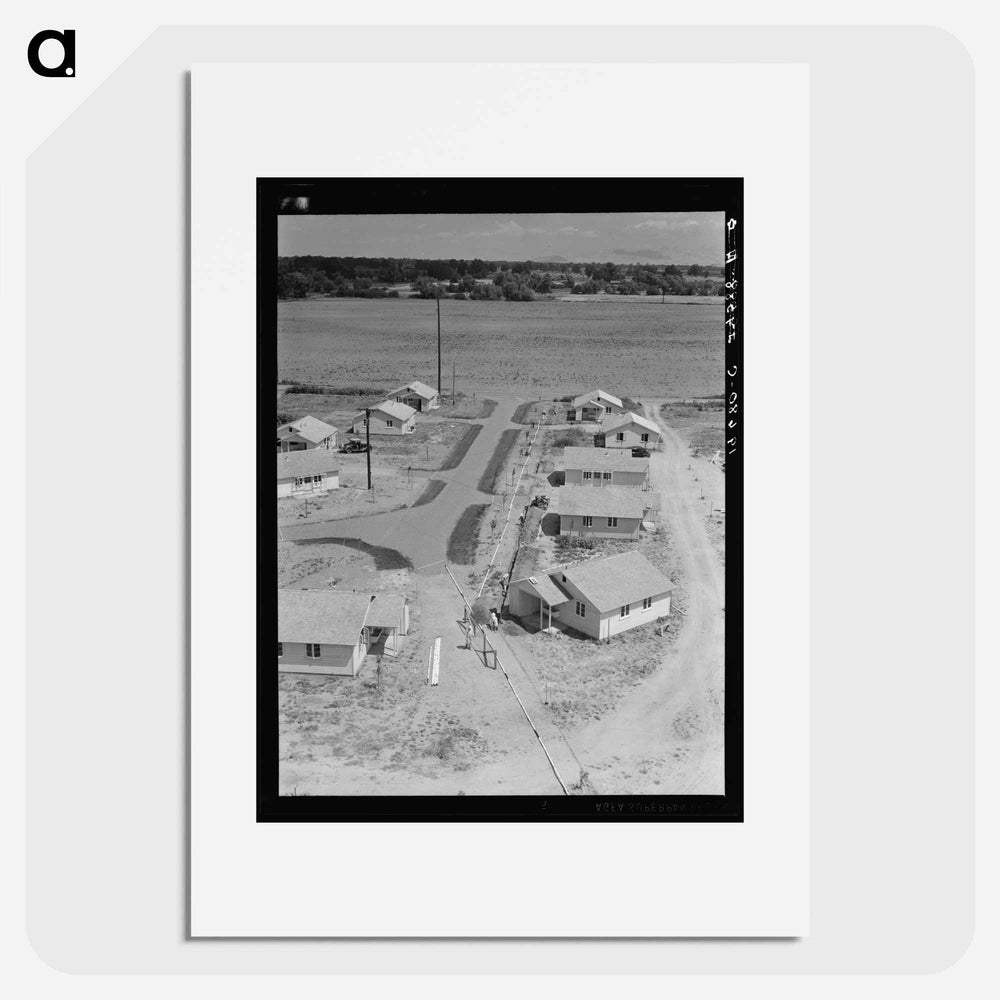 Partially completed homes for agricultural workers - Dorothea Lange Poster.