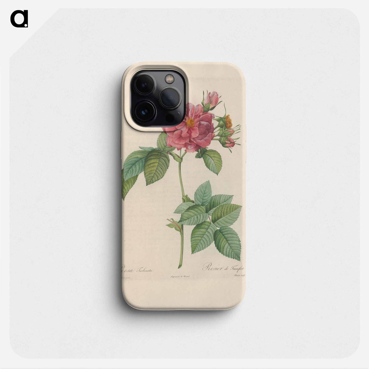 Rose illustration - ピエール ジョゼフ ルドゥーテ Phone Case.