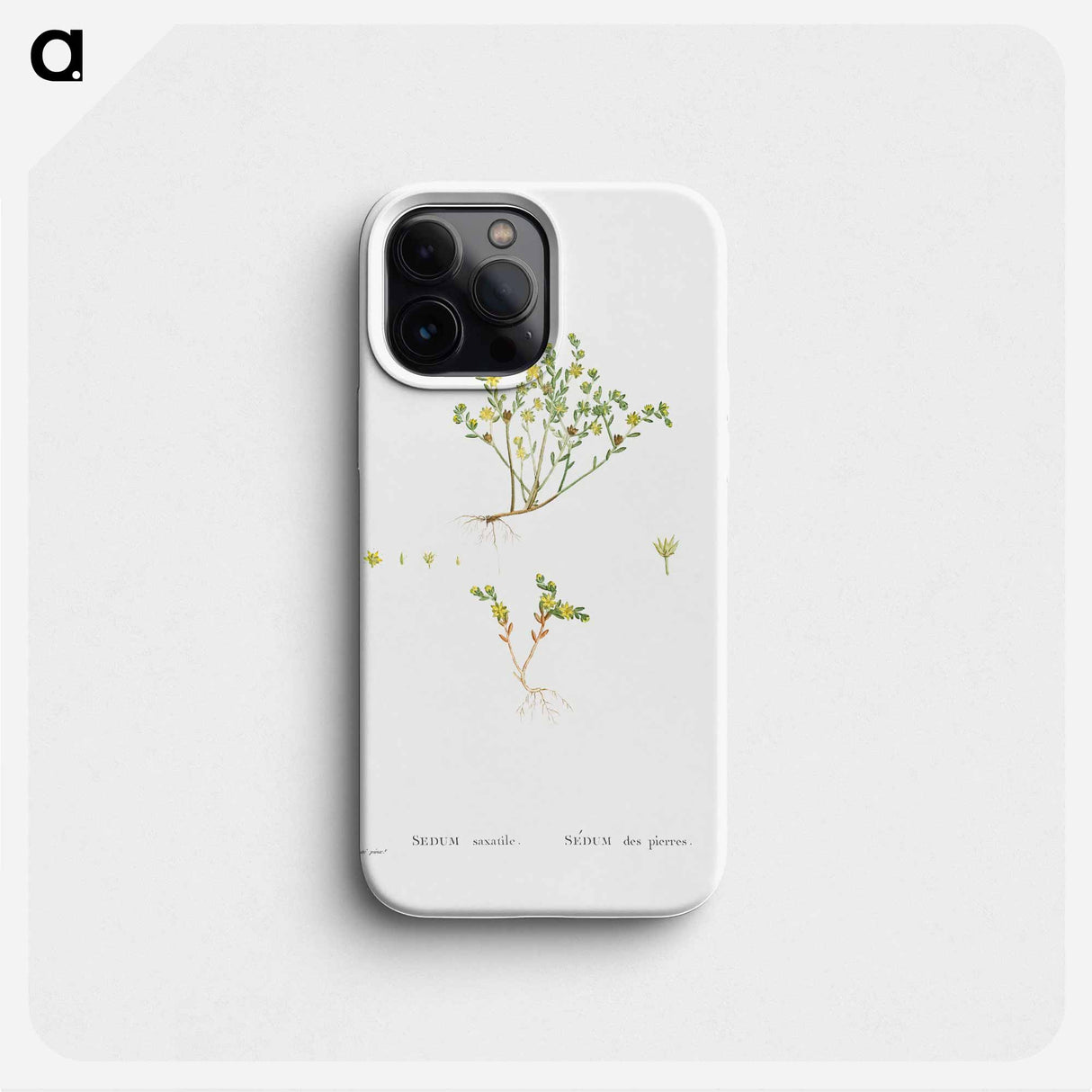 Sedum Saxatile - ピエール ジョゼフ ルドゥーテ Phone Case.
