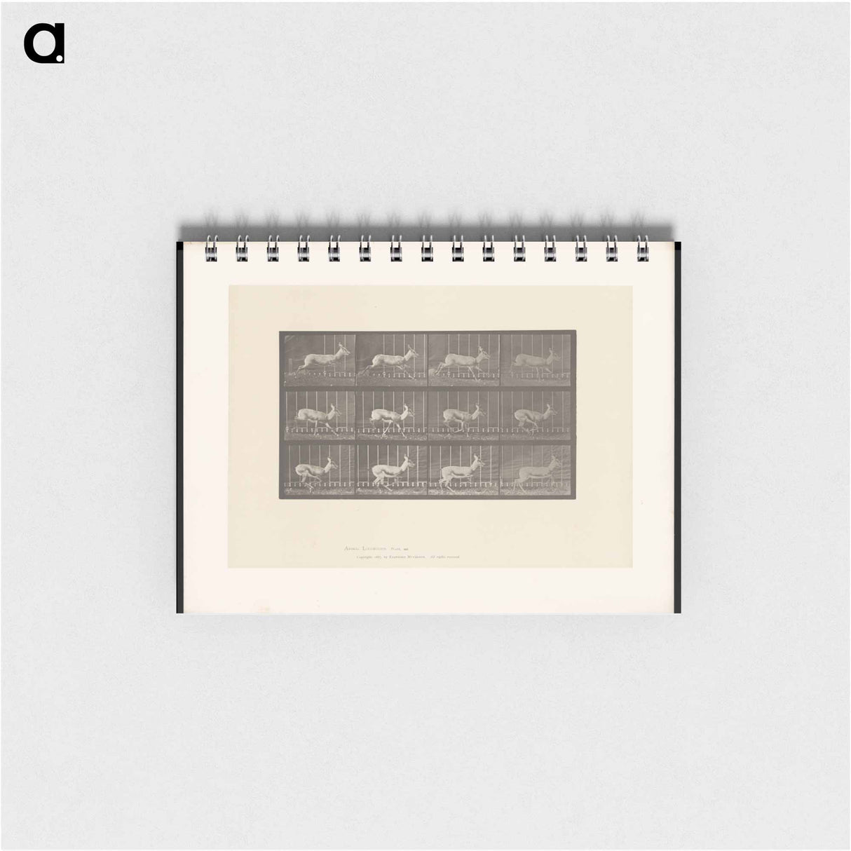 アートメモ帳-Running Antelope
- エドワード マイブリッジ Memo.