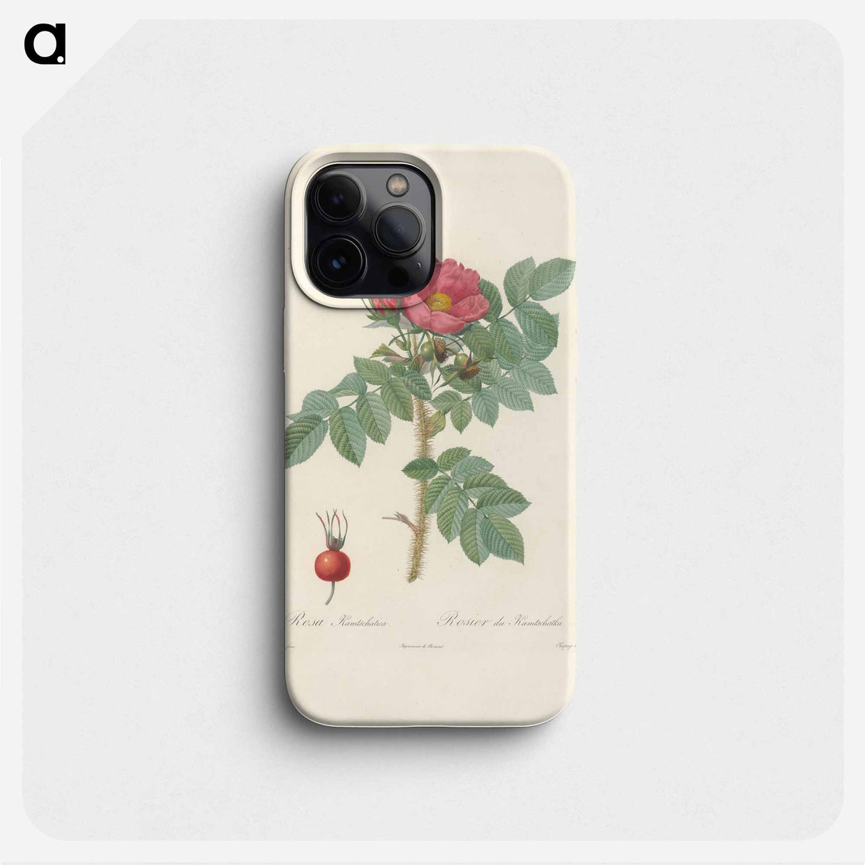 Rose illustration - ピエール ジョゼフ ルドゥーテ Phone Case.