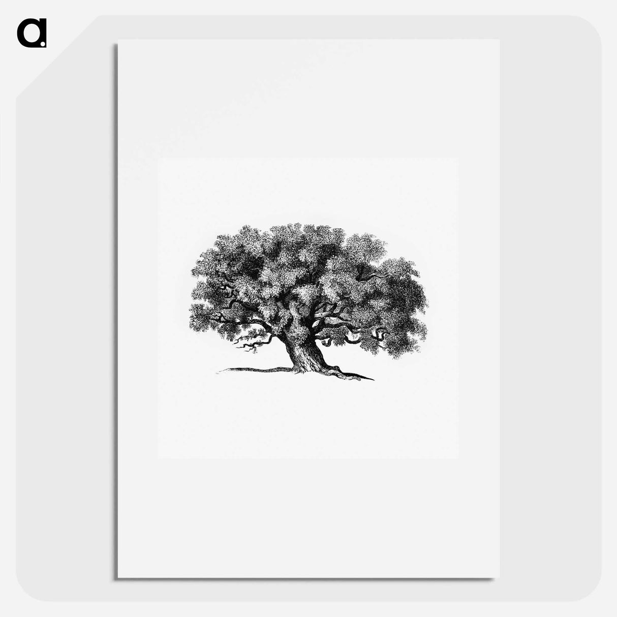アートポスター-Victorian Tree Engraving
- 大英図書館 Poster.