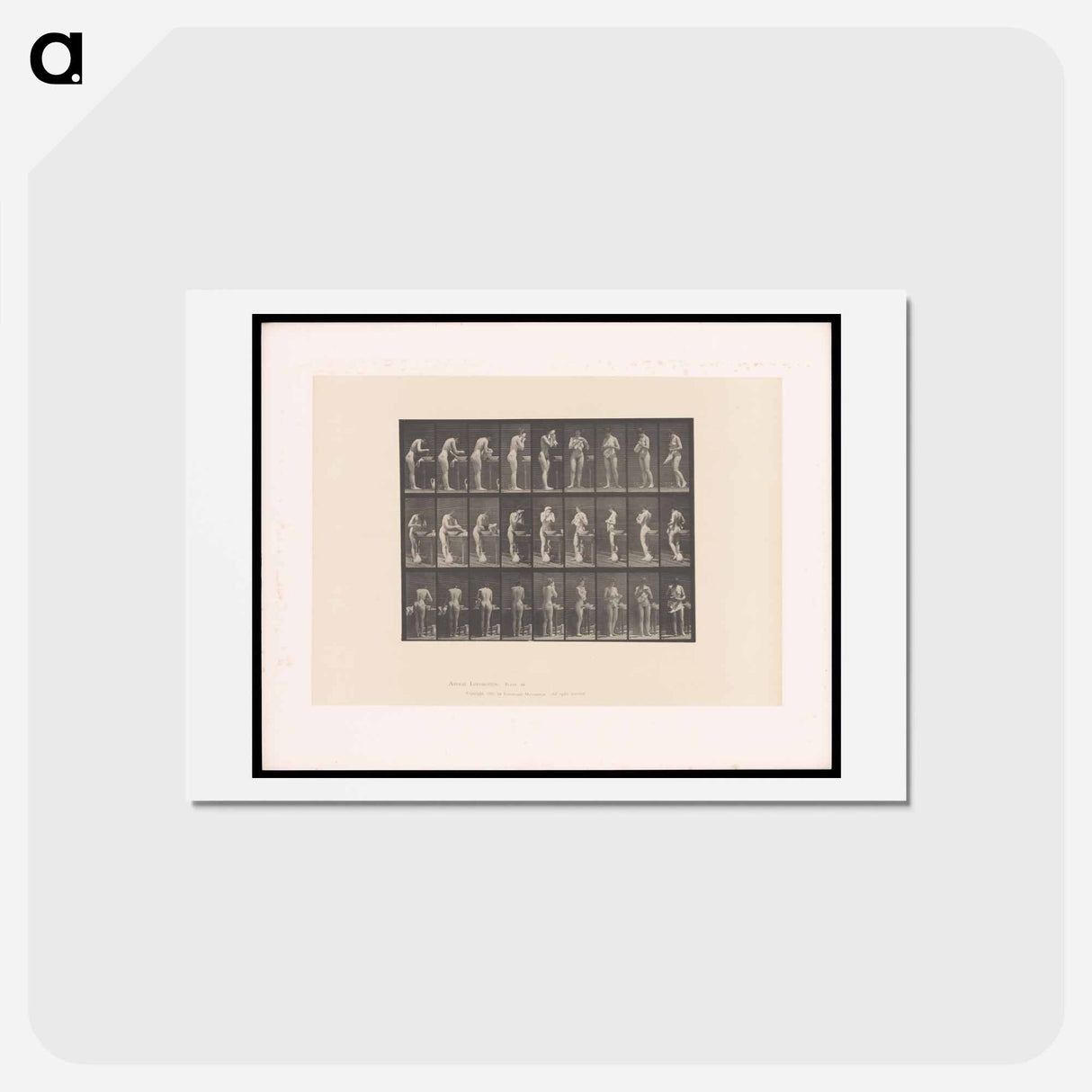 アートポストカード-Washing and Turning
- エドワード マイブリッジ Postcard.