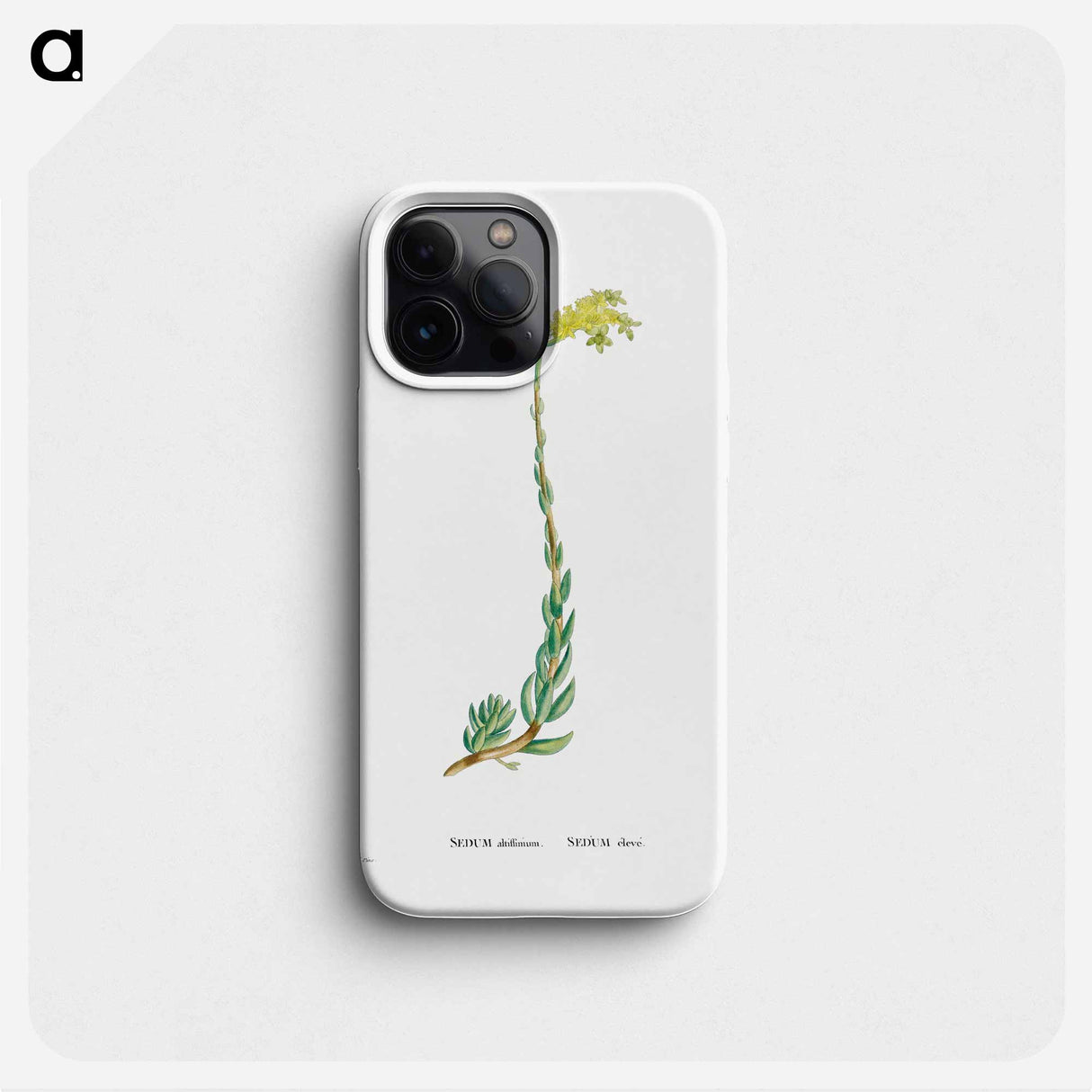Sedum Altiffimum - ピエール ジョゼフ ルドゥーテ Phone Case.