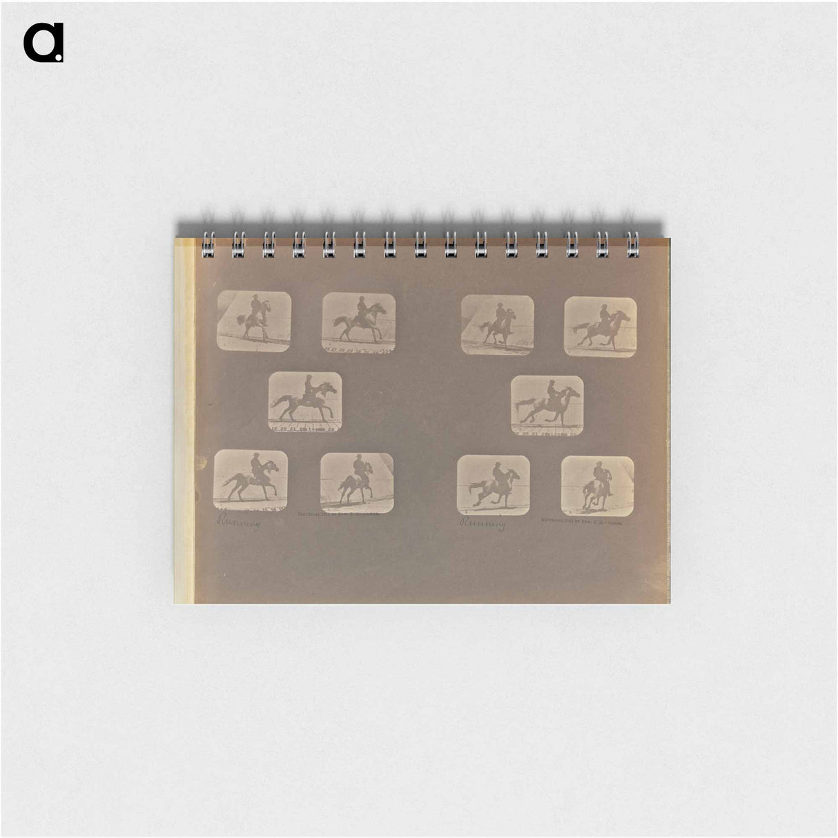 アートメモ帳-Running
- エドワード マイブリッジ Memo.