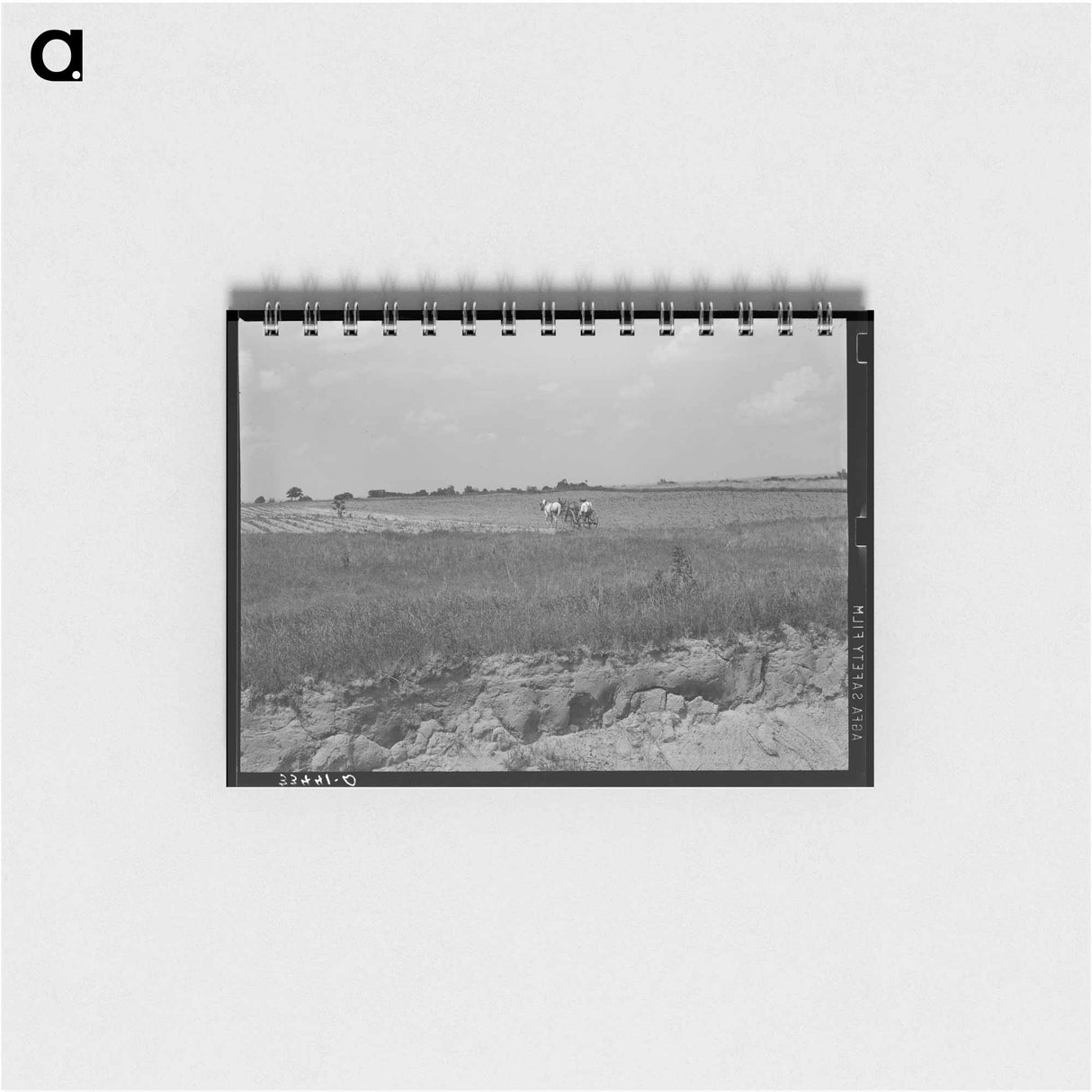 アートメモ帳-Pears Arriving
- ラッセル リー Memo.