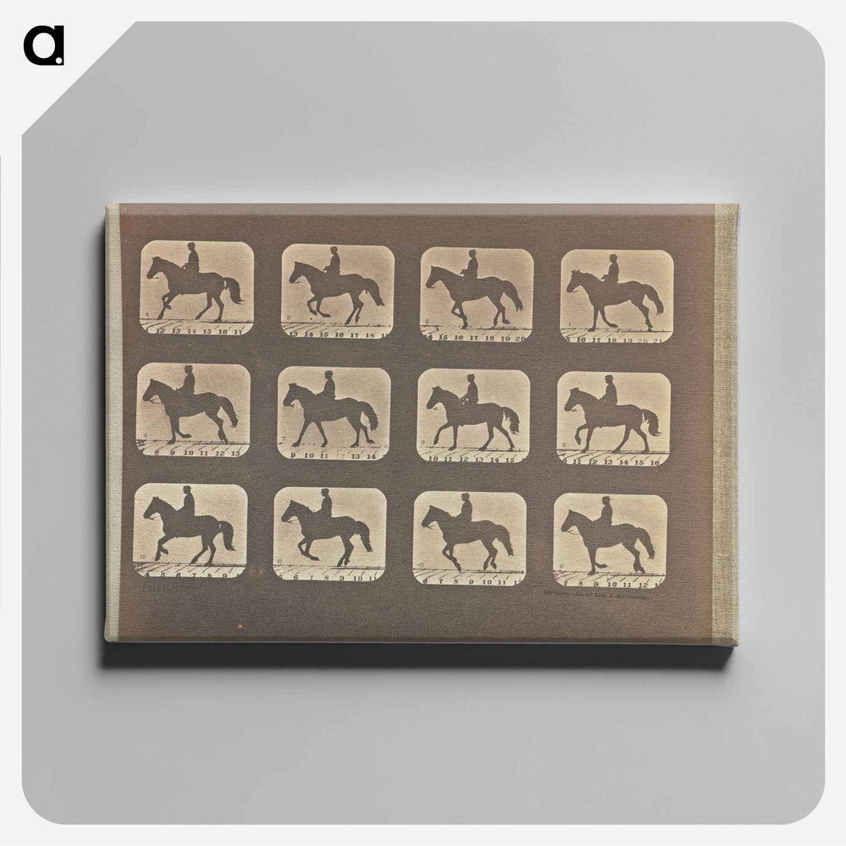 アートパネル-Cantering
- エドワード マイブリッジ Canvas.