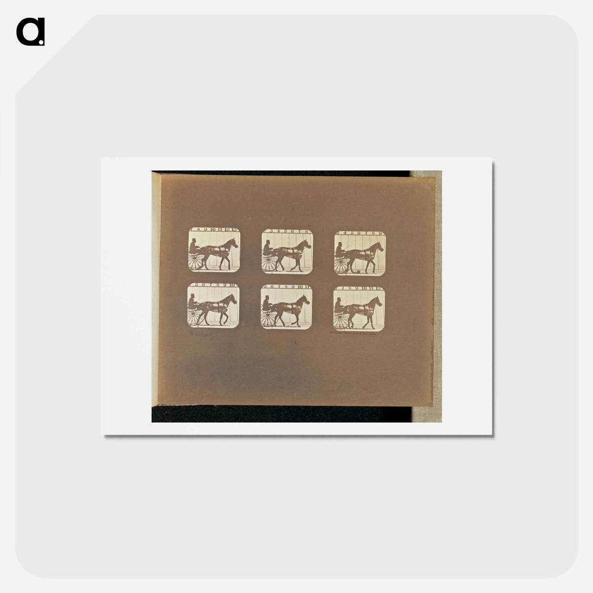 アートポストカード-Walking
- エドワード マイブリッジ Postcard.