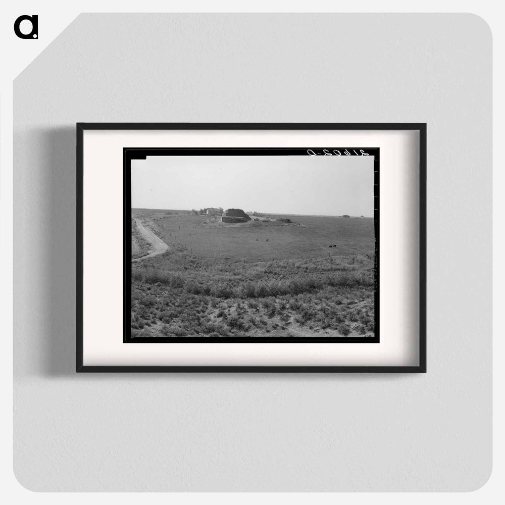 Untitled photo - Dorothea Lange Poster.