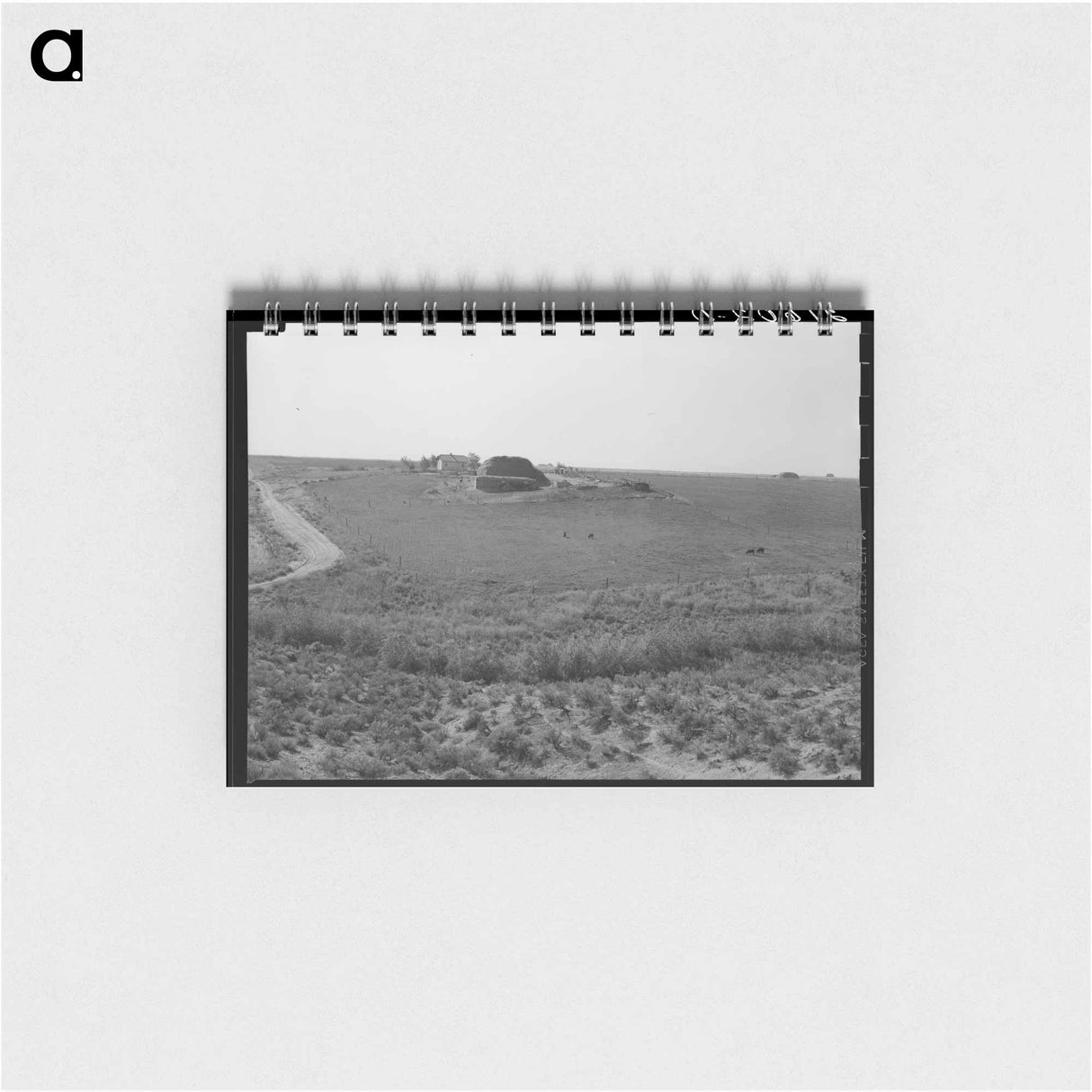 Untitled photo - ドロテア ラング Memo.