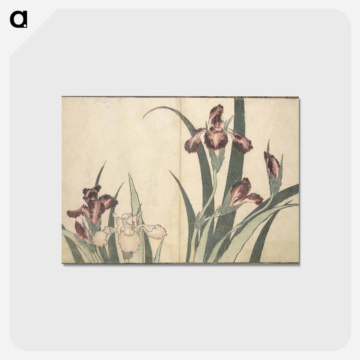 アートポストカード-A Realistic Sketchbook by Hokusai - 葛飾 北斎 Postcard.