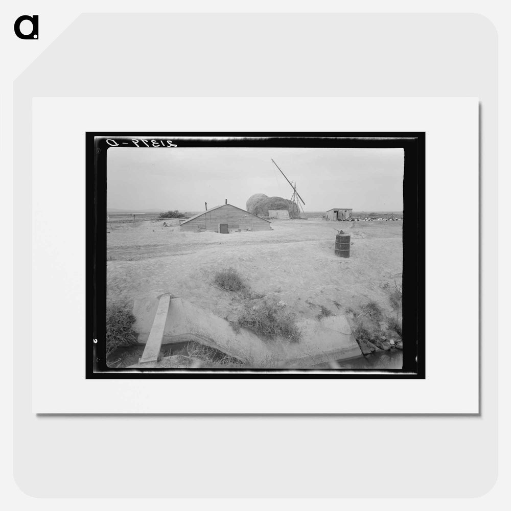 Untitled photo - Dorothea Lange Poster.