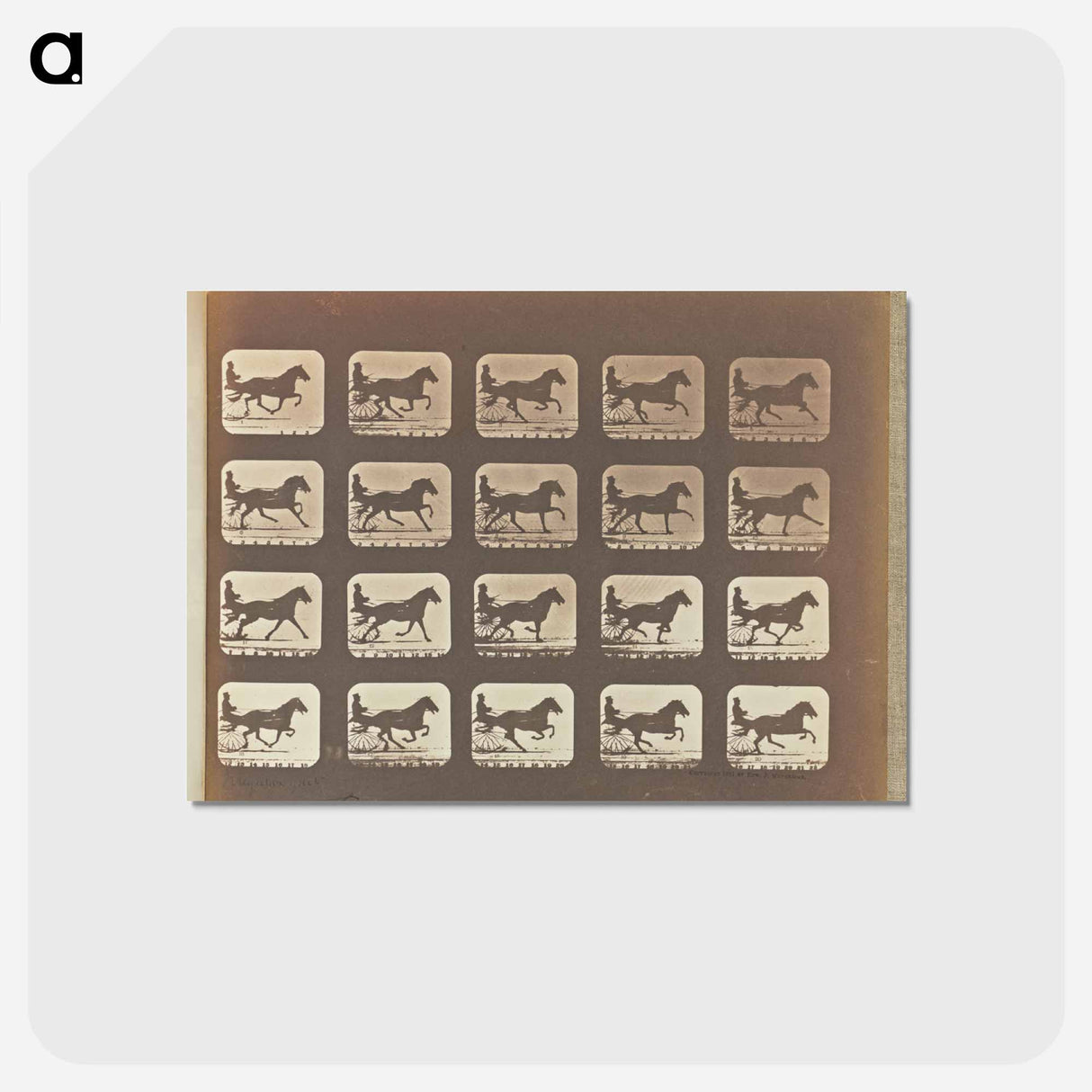 アートポストカード-Irregular Gait
- エドワード マイブリッジ Postcard.
