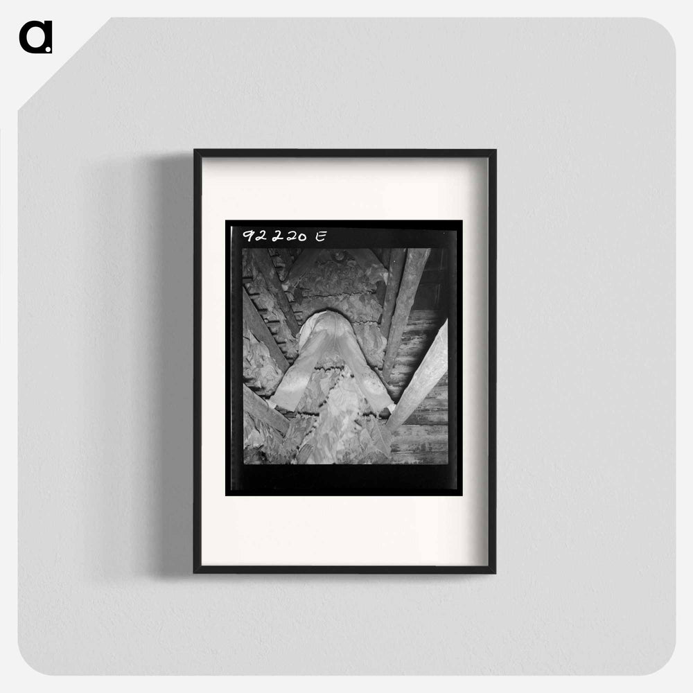 Untitled photo - Dorothea Lange Poster.