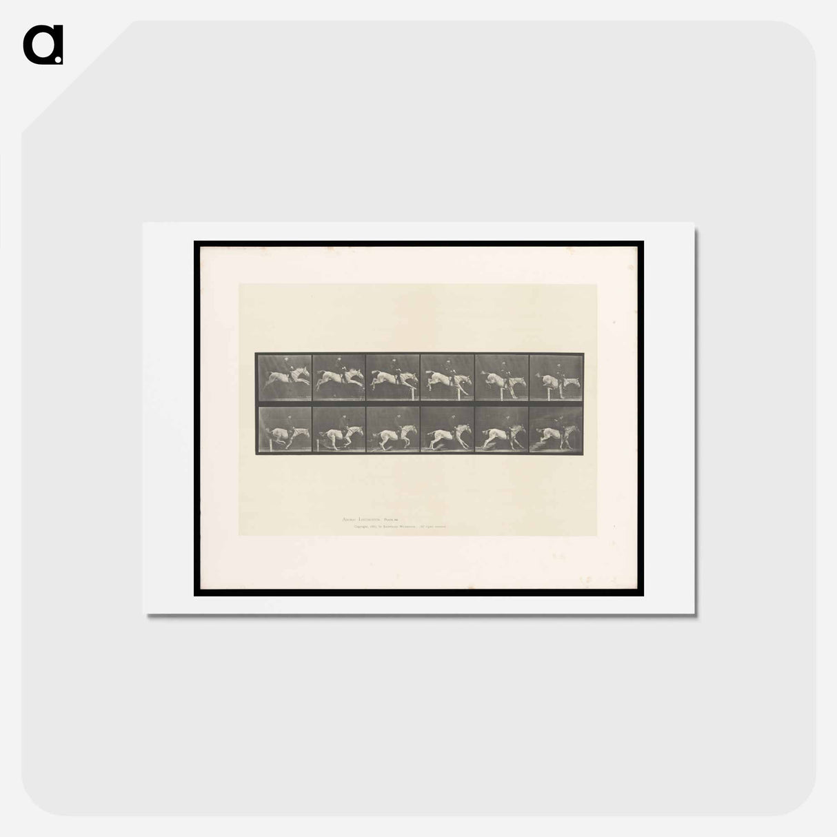 アートポストカード-Jumping Horse
- エドワード マイブリッジ Postcard.