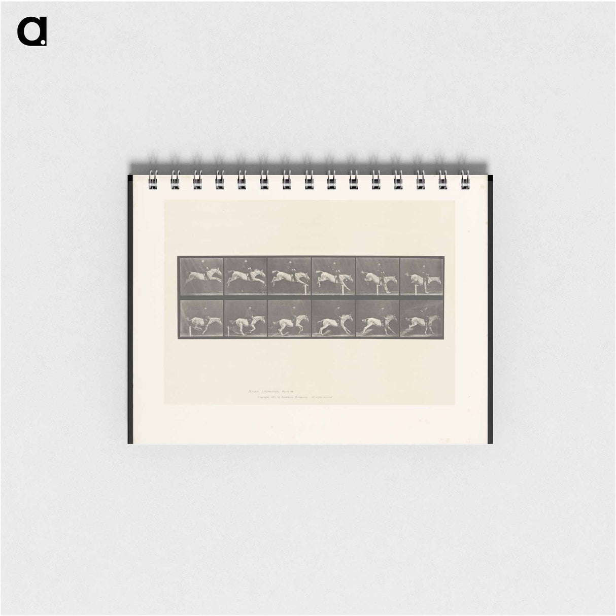 アートメモ帳-Jumping Horse
- エドワード マイブリッジ Memo.