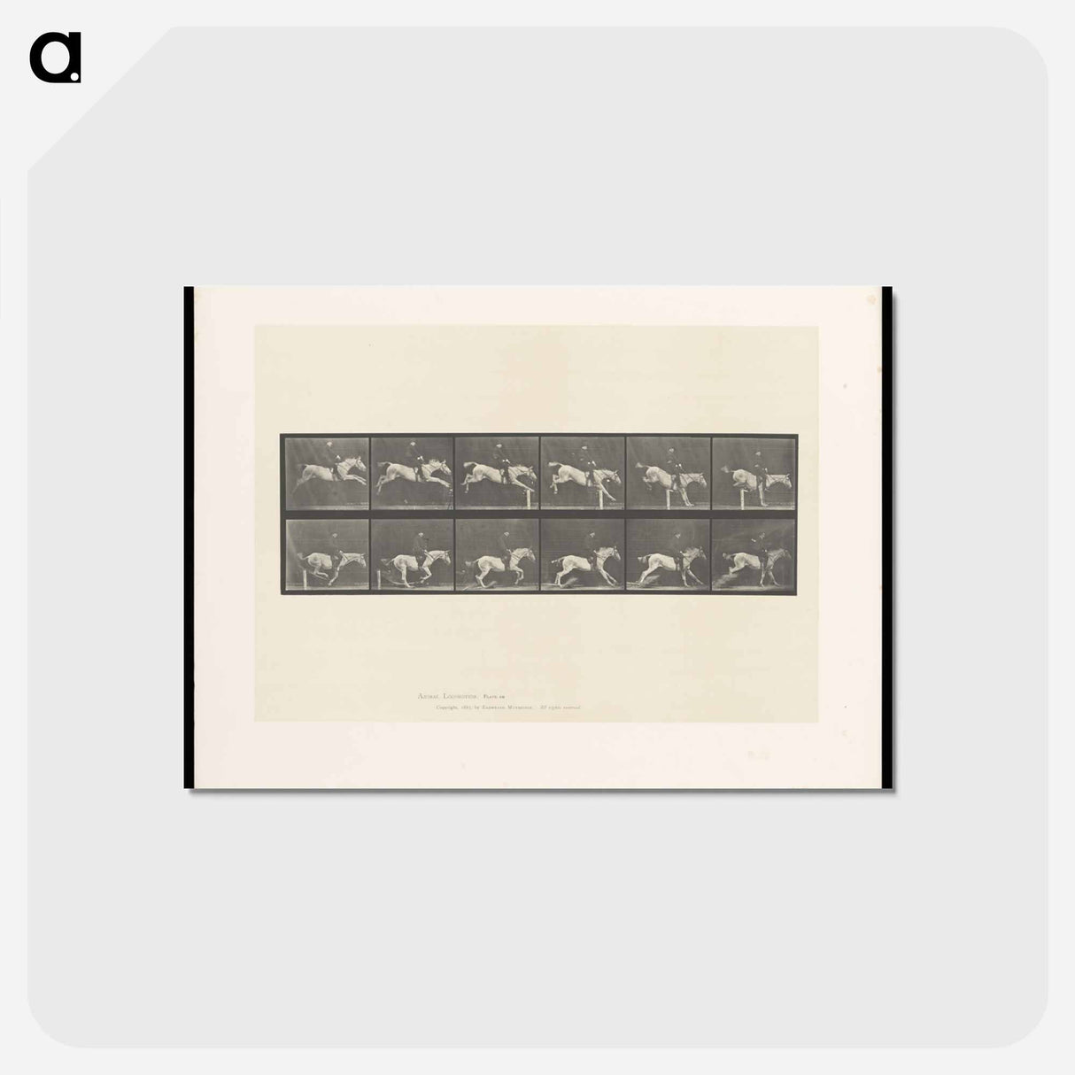 アートポストカード-Jumping Horse
- エドワード マイブリッジ Postcard.