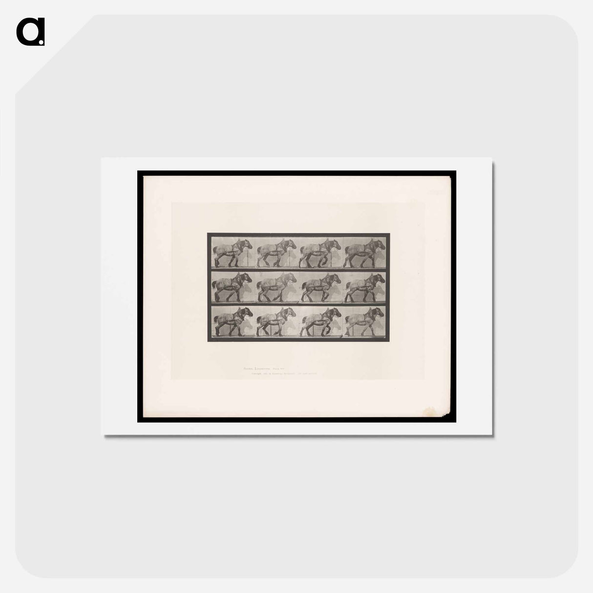 アートポストカード-Horse in Motion
- エドワード マイブリッジ Postcard.