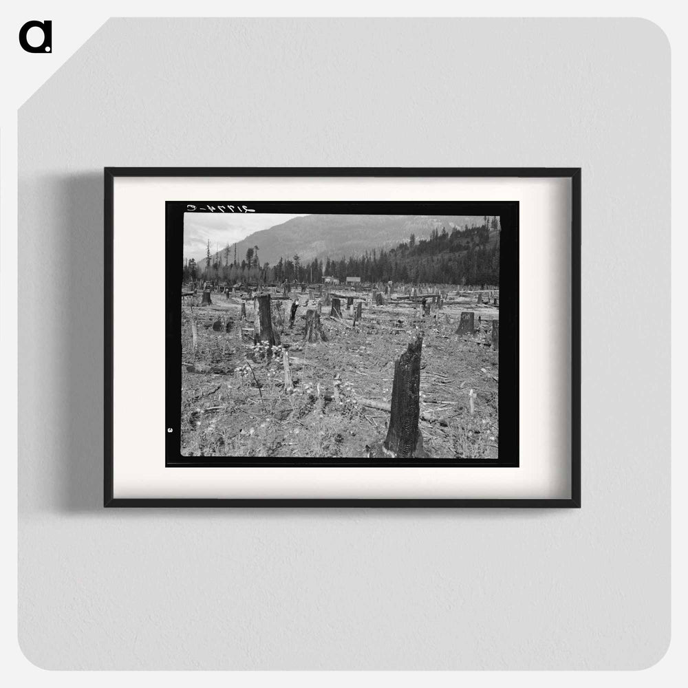 New farm home - Dorothea Lange Poster.